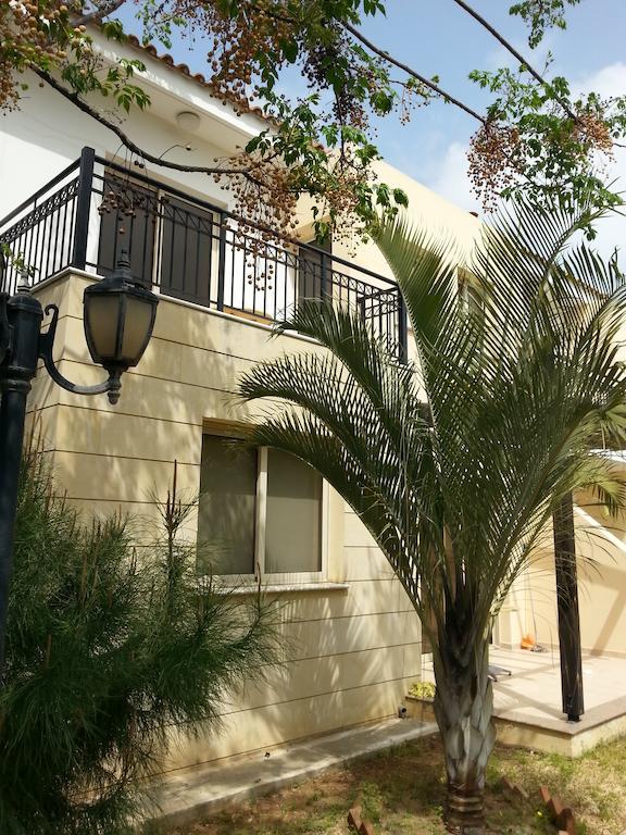 Byreva Apartments Paphos Rom bilde